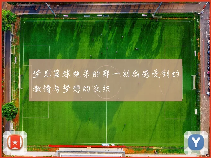 梦见篮球绝杀的那一刻我感受到的激情与梦想的交织