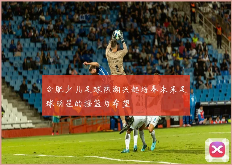 合肥少儿足球热潮兴起培养未来足球明星的摇篮与希望