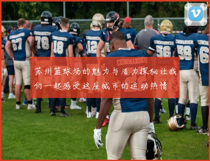 苏州篮球场的魅力与活力探秘让我们一起感受这座城市的运动热情