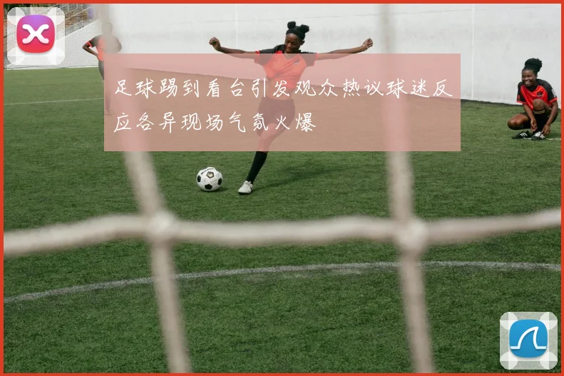 足球踢到看台引发观众热议球迷反应各异现场气氛火爆