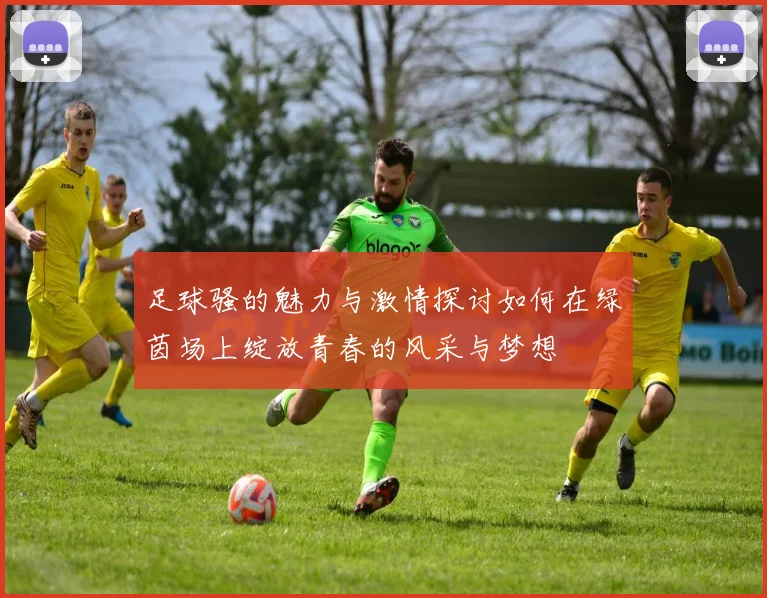 足球骚的魅力与激情探讨如何在绿茵场上绽放青春的风采与梦想
